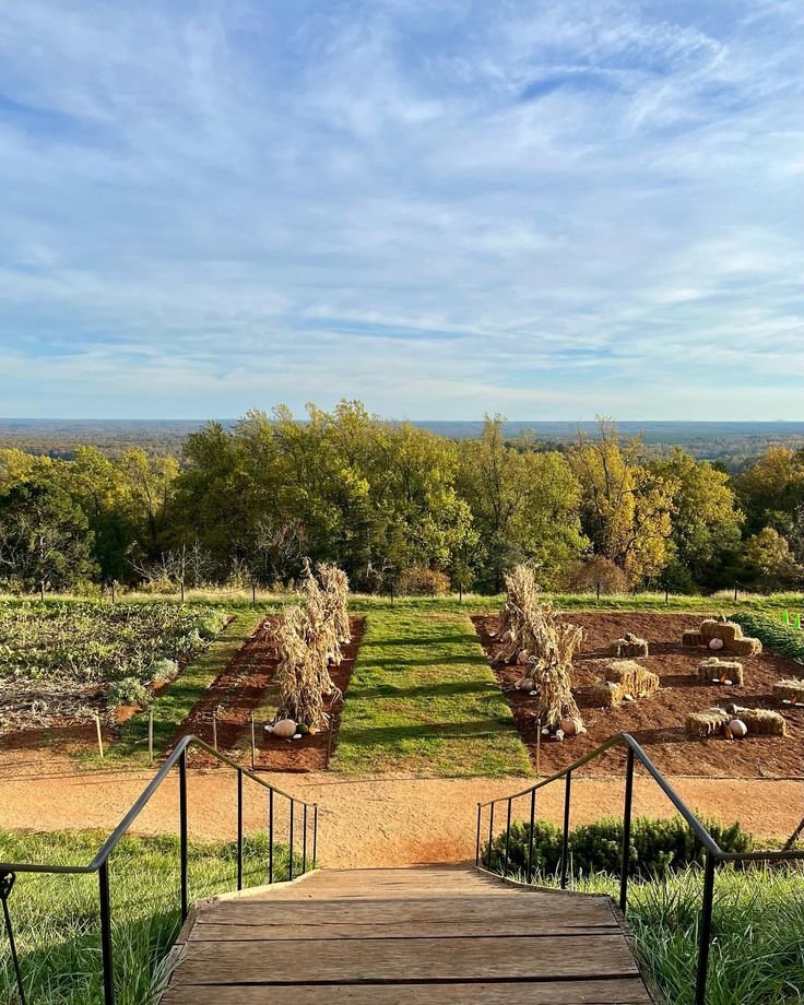 This may contain: a wooden walkway leading to an outdoor vegetable garden