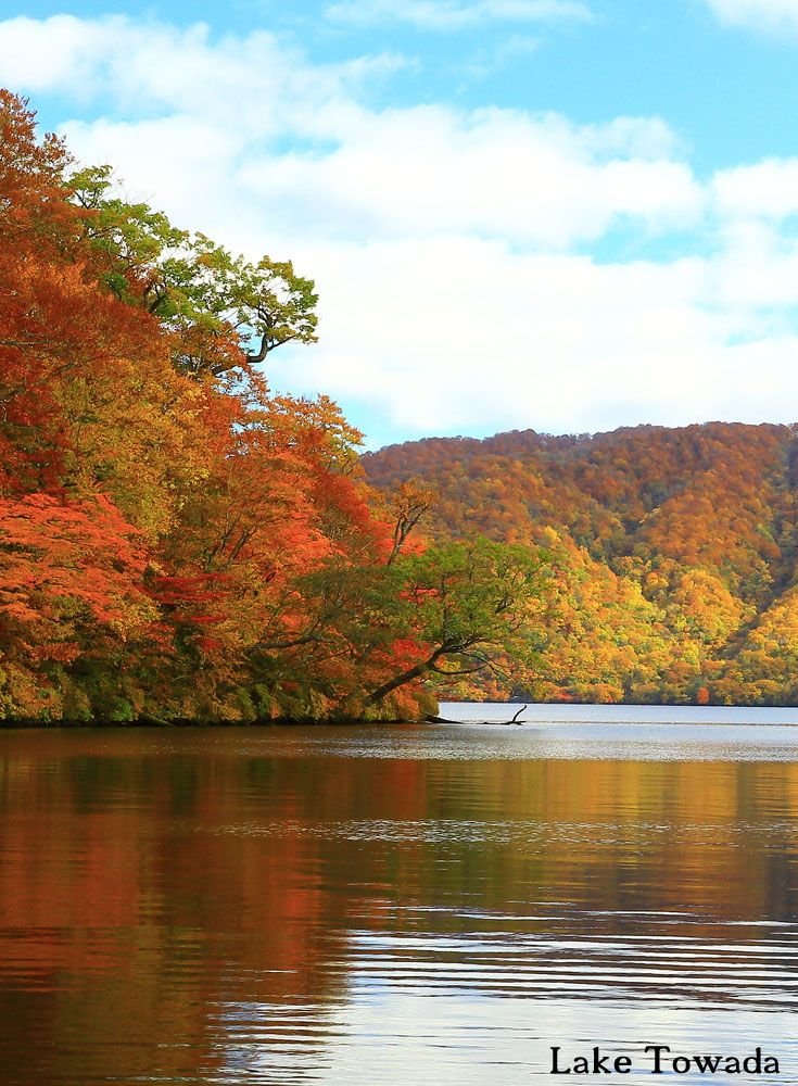 This may contain: a lake surrounded by trees with orange and yellow leaves