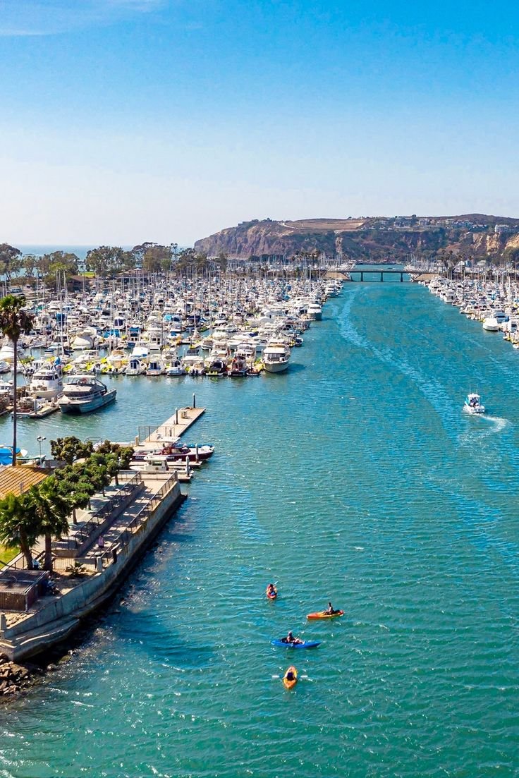 This may contain: boats are docked at the marina on a sunny day with palm trees in the foreground