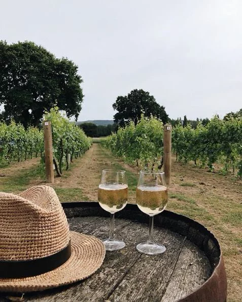 This may contain: two glasses of wine sitting on top of a barrel in the middle of a vineyard