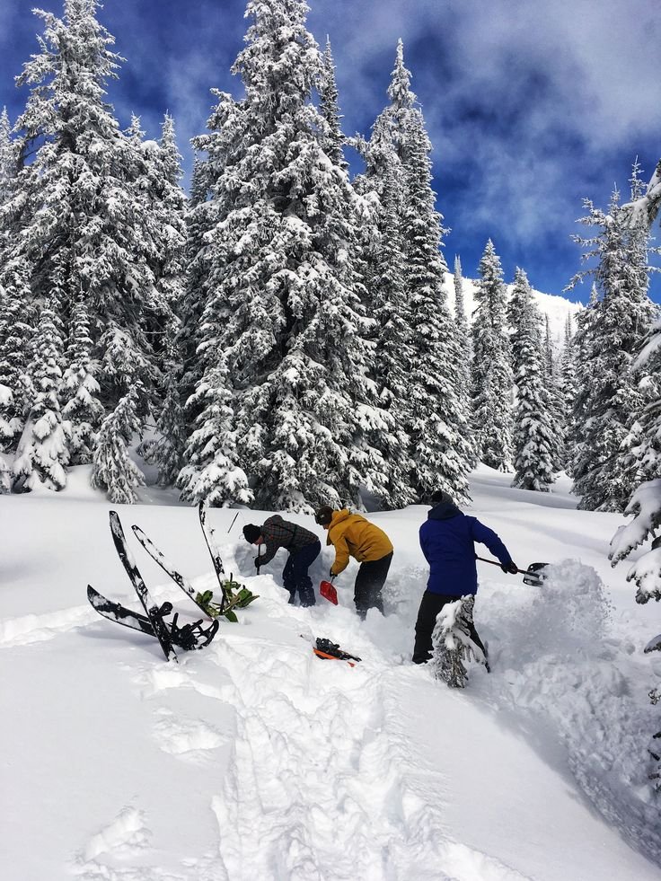 This may contain: three people in the snow near some trees