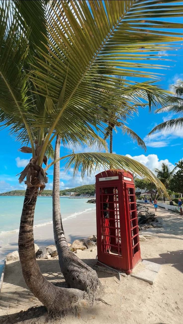This may contain: a red phone booth sitting on top of a beach next to a palm tree and the ocean