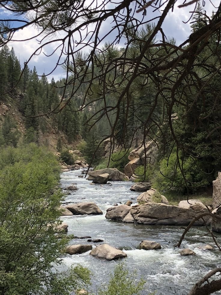 This may contain: a river running through a forest filled with lots of rocks and trees in the distance