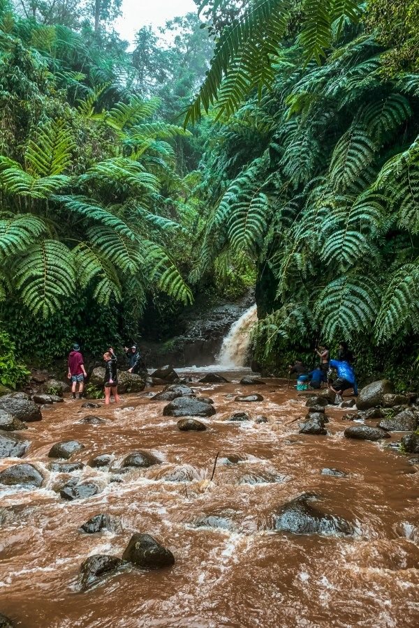 This may contain: people are standing on rocks in the middle of a river surrounded by trees and ferns