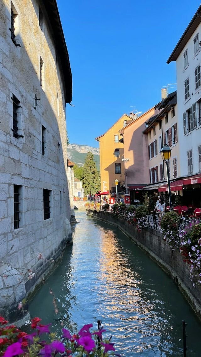 This may contain: a river running through a small town next to tall buildings with flowers in the foreground