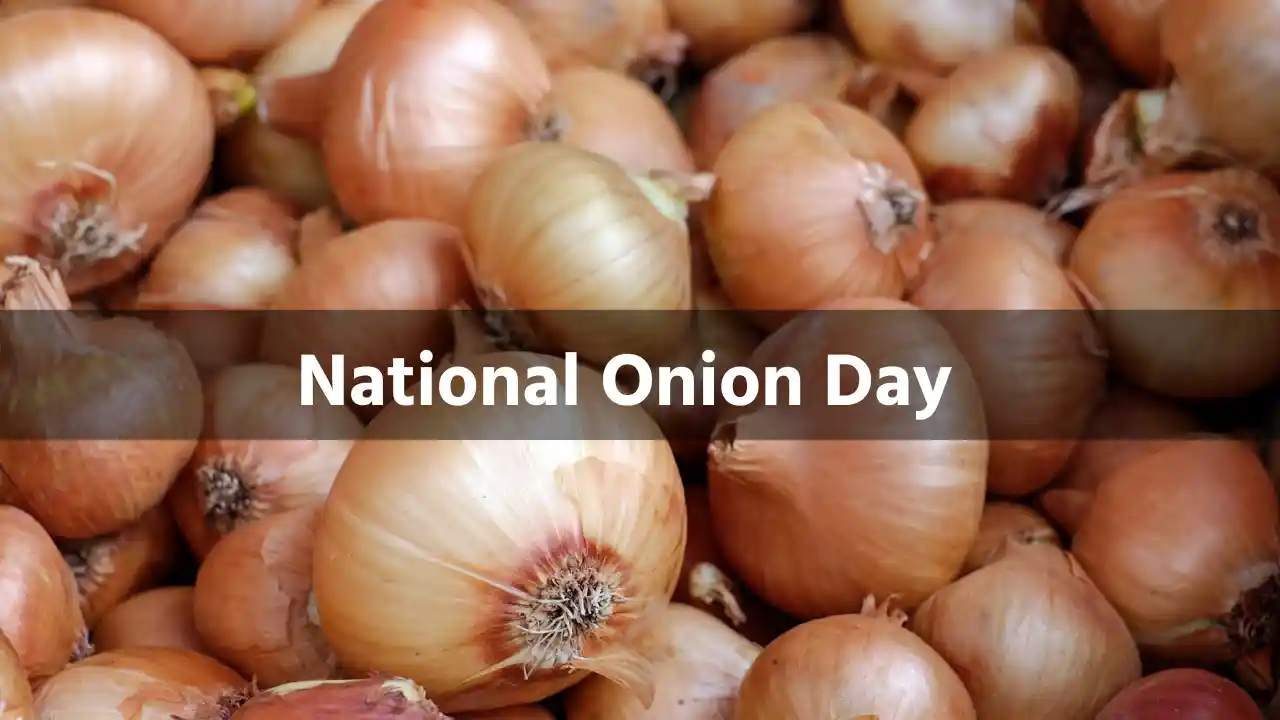 National Onion Day