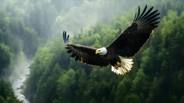 Majestic bald eagle soaring above a dense forest with a winding river, celebrating National Save The Eagles Day