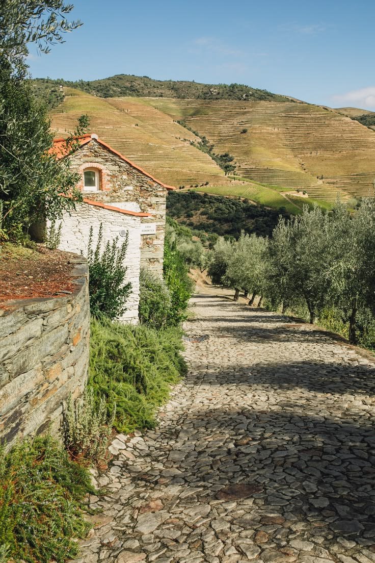 This may contain: an old cobblestone road in the countryside with olive trees and hills behind it