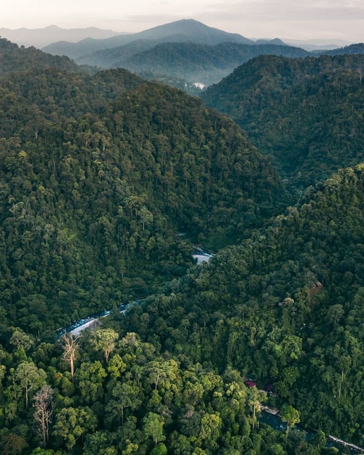 This may contain: an aerial view of trees and mountains with a river running through them in the foreground