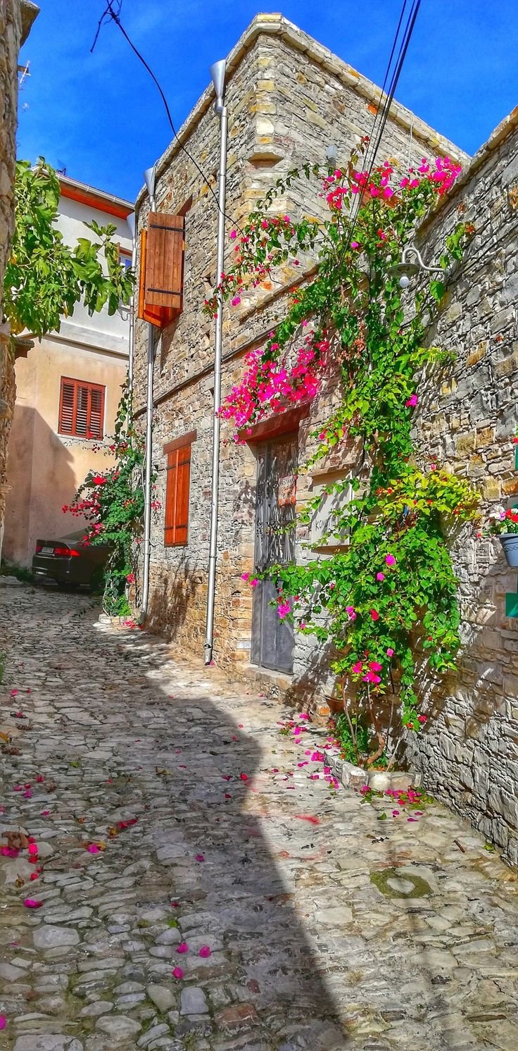 This may contain: an old stone building with pink flowers growing on it