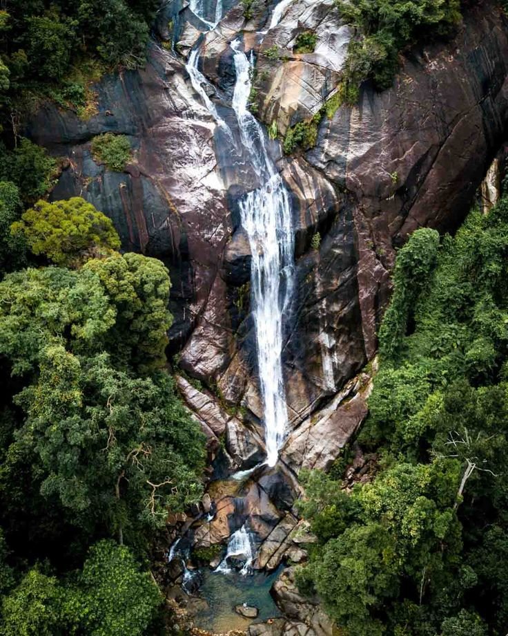 This may contain: an aerial view of a waterfall surrounded by trees
