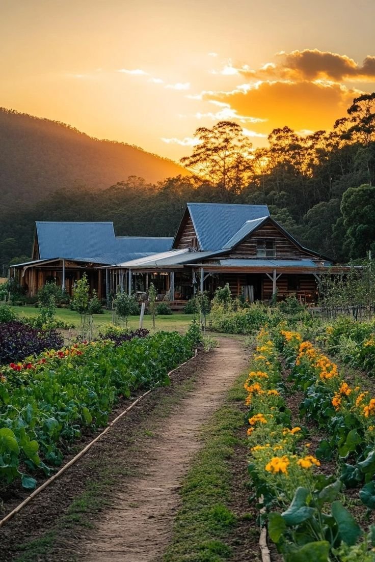 This may contain: the sun is setting over a farm with many plants and flowers in front of it