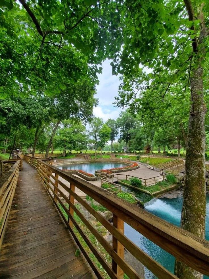 This may contain: a wooden bridge over a river surrounded by trees