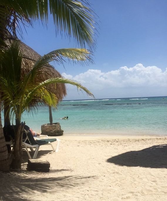 This may contain: a person sitting on a beach under a palm tree next to the ocean and water