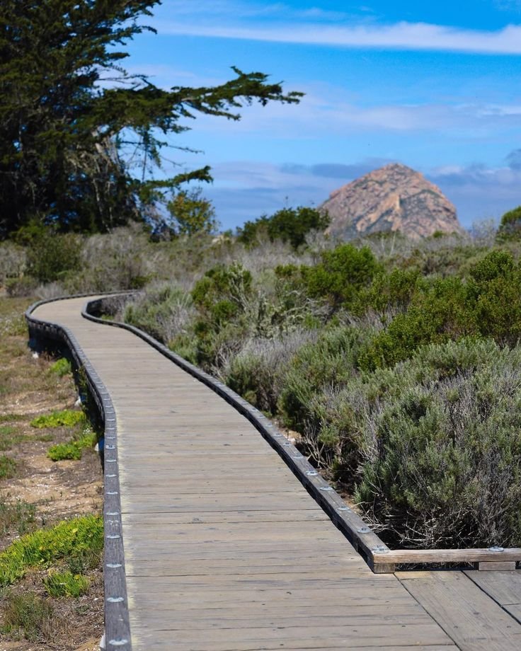 This may contain: a wooden walkway in the middle of a field