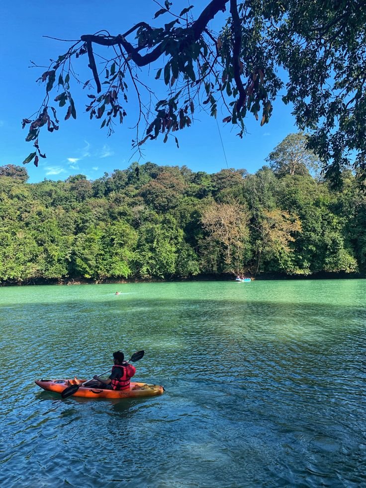 This may contain: a person in a kayak paddling on the water with trees and blue sky