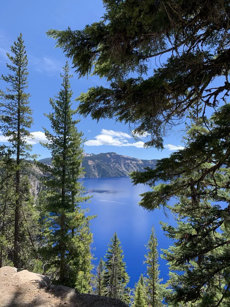 This may contain: a scenic view from the top of a mountain looking down on a lake surrounded by trees