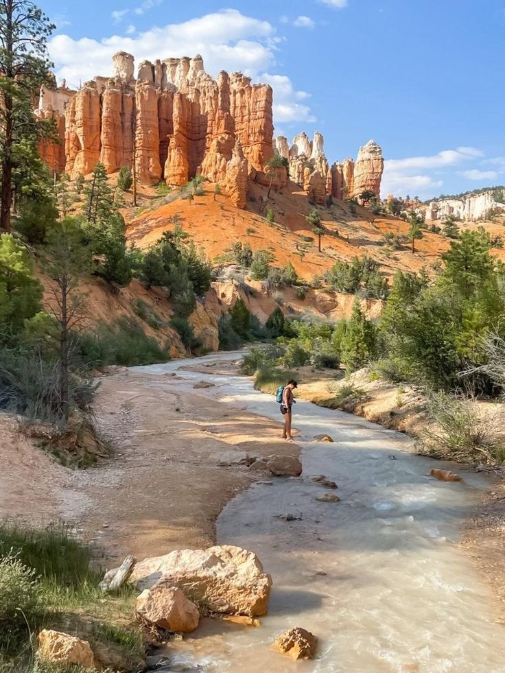 This may contain: a person standing on the edge of a river in front of some rocks and trees
