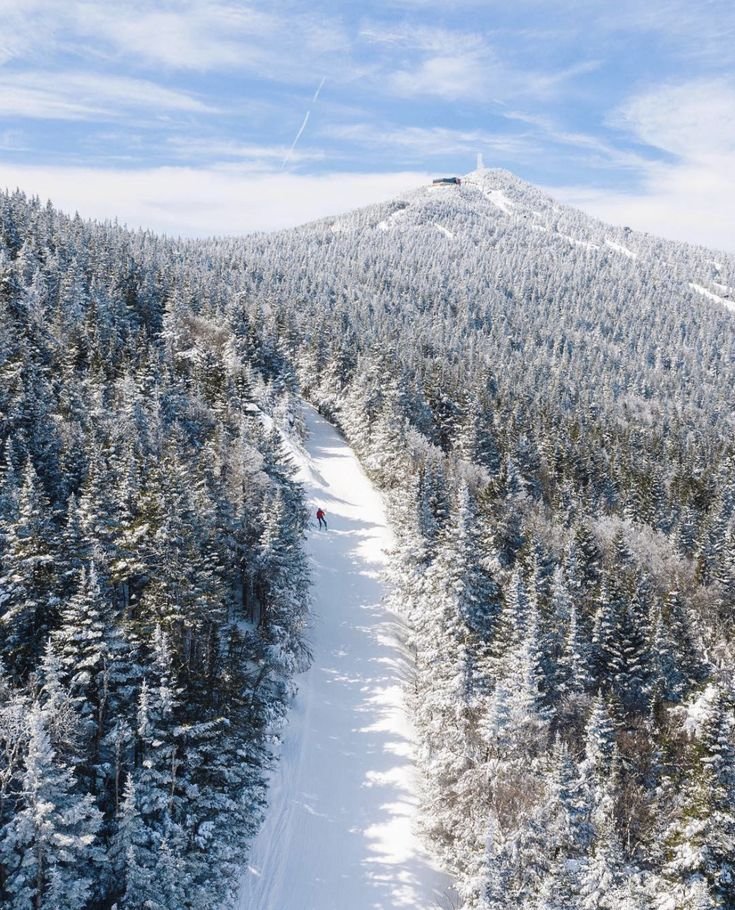 This may contain: a person riding skis down a snow covered slope next to a wooded area on a sunny day