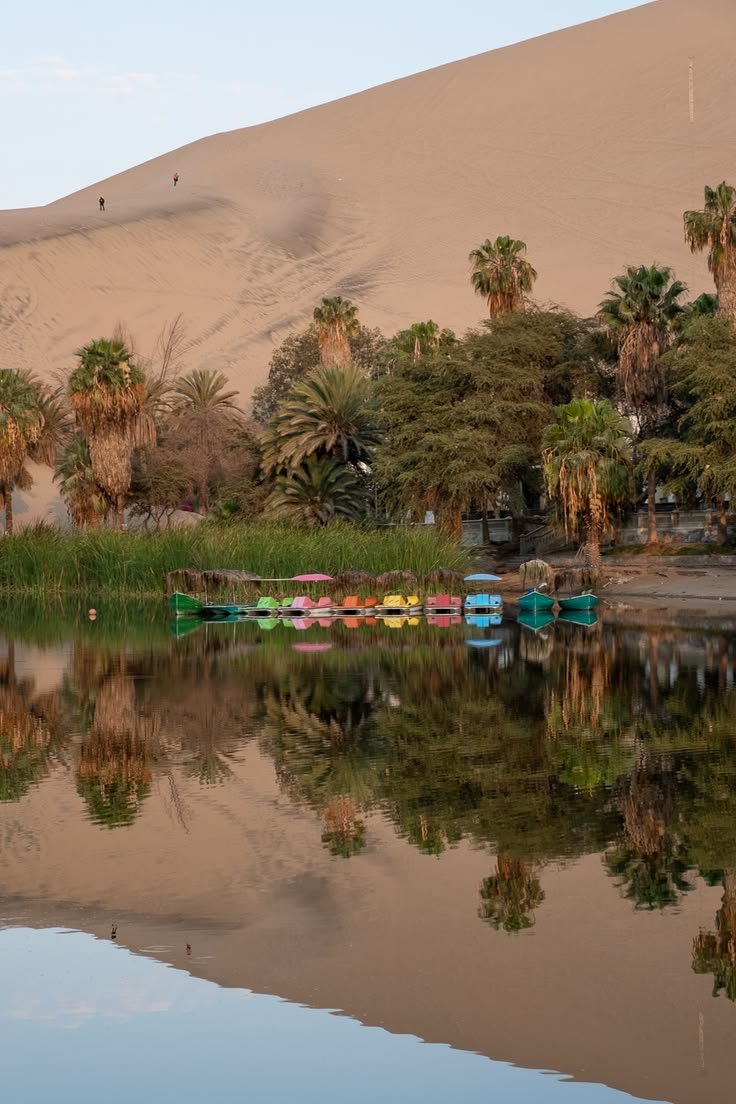 This may contain: there are palm trees and boats on the water in front of a sand dune area