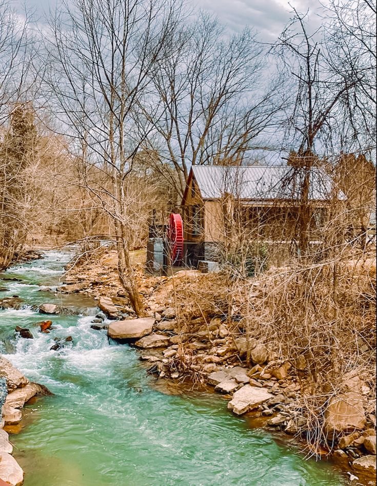 This may contain: a river running through a forest next to a wooden building with a red door on it