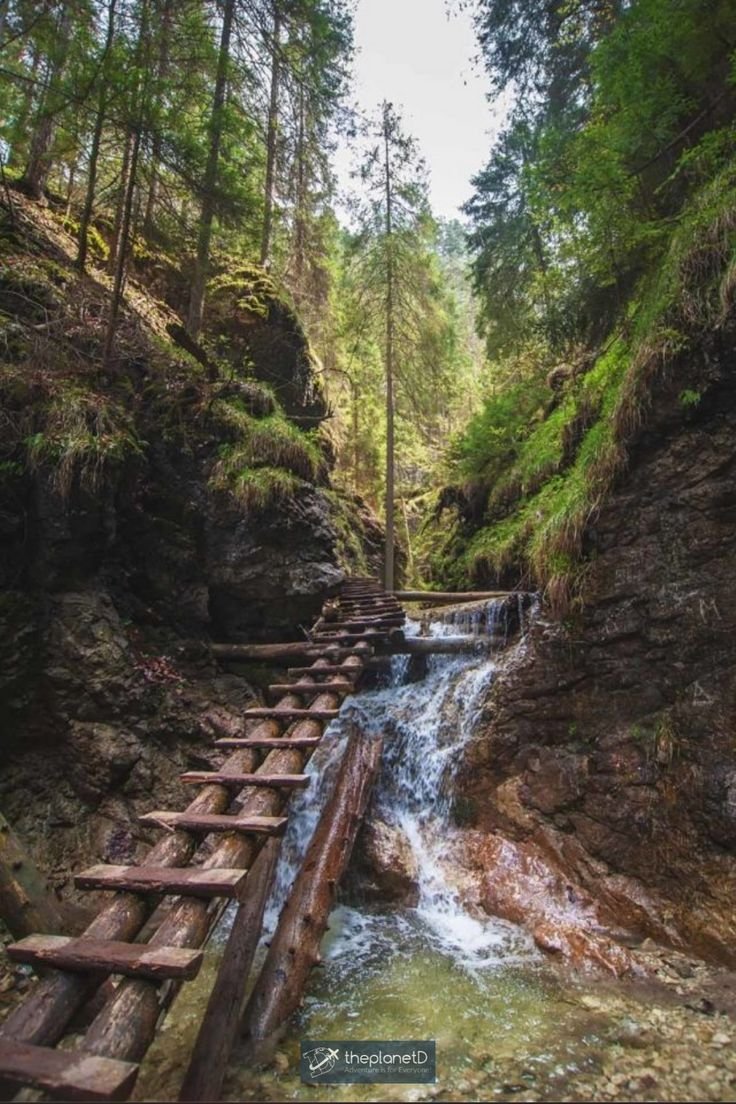 This contains: An image of High Falls Gorge in Lake Placid, New York with a basic log step-bridge leading up a small waterfall in a gorge.
