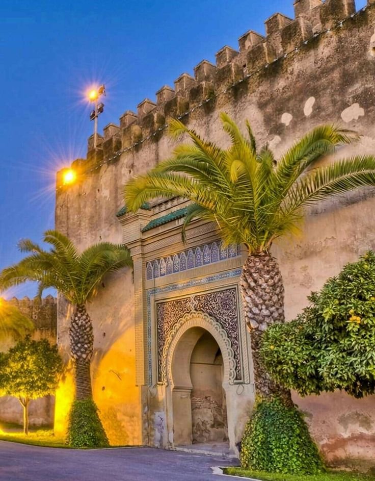 This may contain: the entrance to an old castle with palm trees and lights on at night in front of it