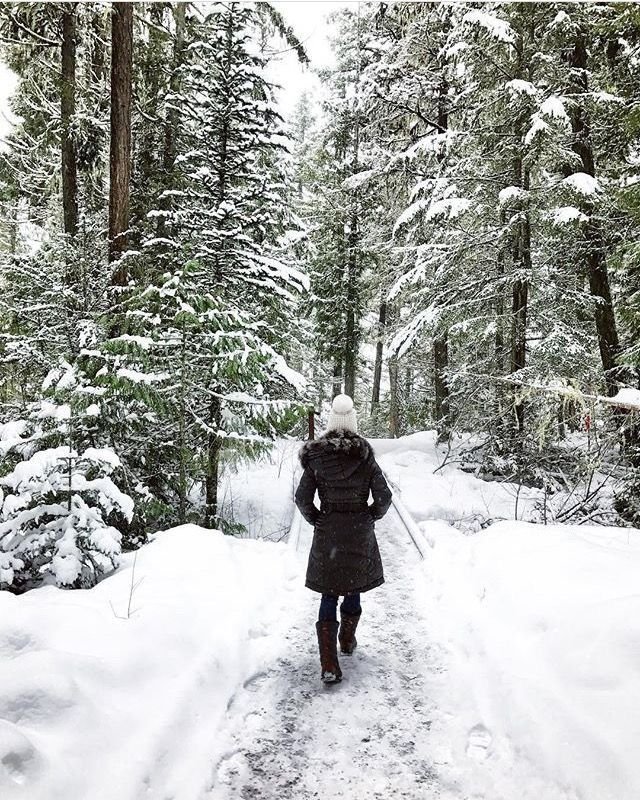 This may contain: a person walking in the snow with ski poles