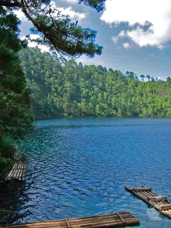 This may contain: two wooden rafts floating on top of a lake next to a lush green forest