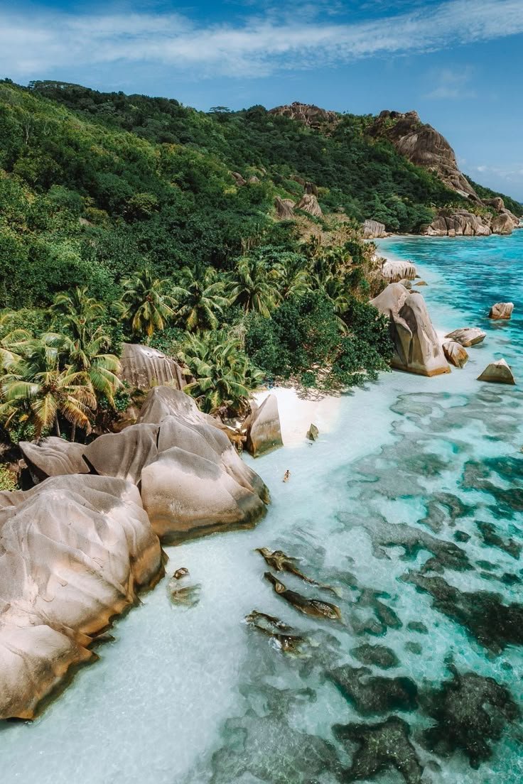 This may contain: an aerial view of the ocean with rocks and palm trees