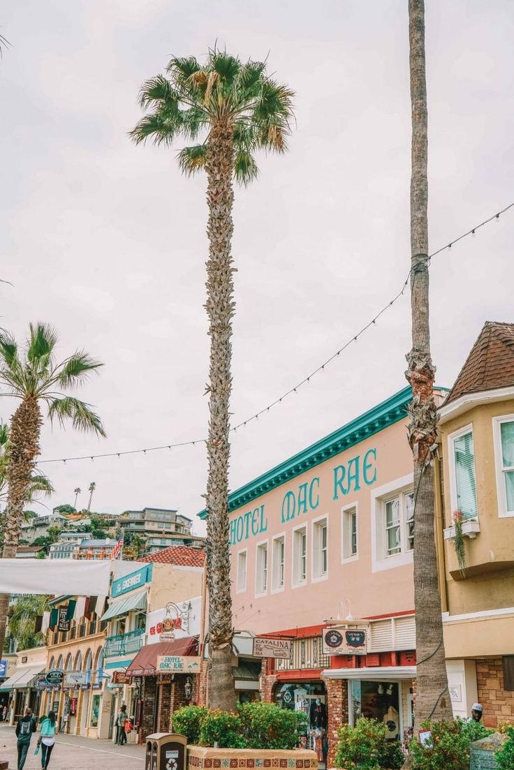 This may contain: palm trees line the street in front of buildings and shops on a cloudy day with people walking by