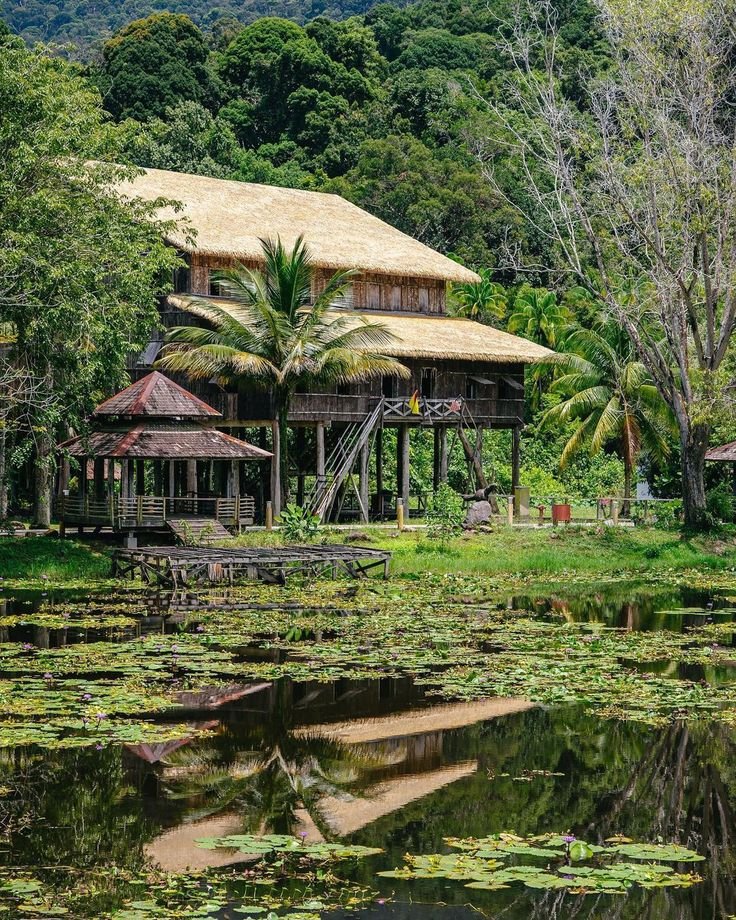 This may contain: a house sitting on top of a lush green field next to a forest filled with trees