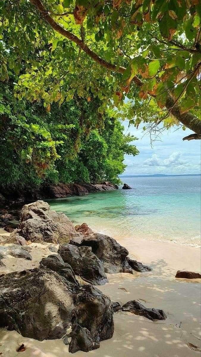 This may contain: the beach is surrounded by trees and rocks