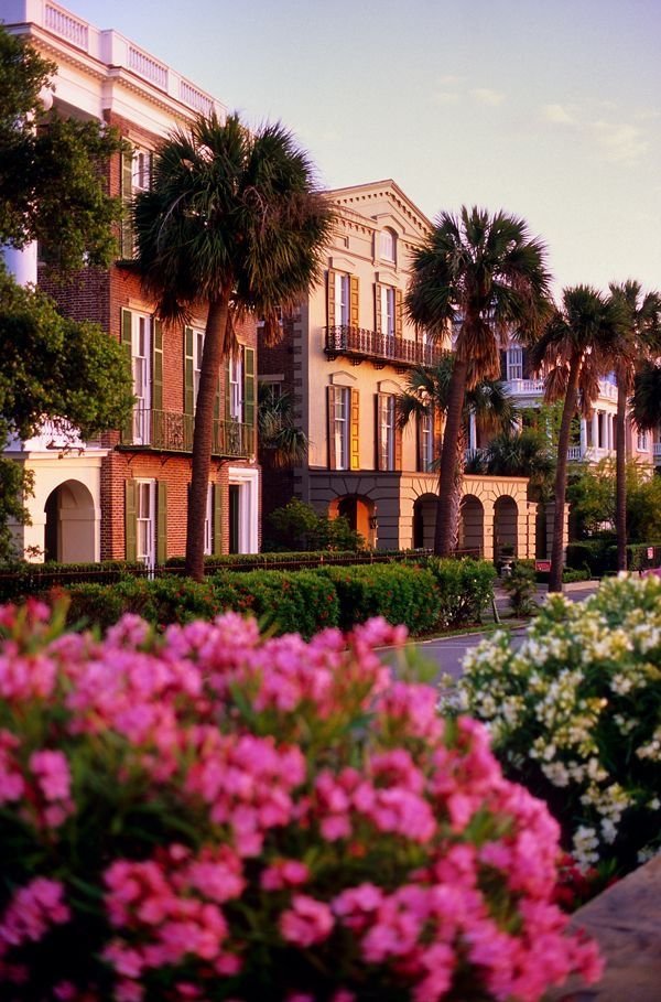 This may contain: a row of houses with palm trees and flowers in the foreground