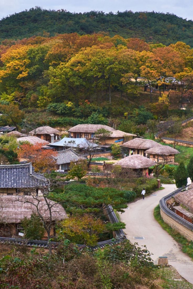 This may contain: a village with thatched roofs and trees in the background, surrounded by lush greenery