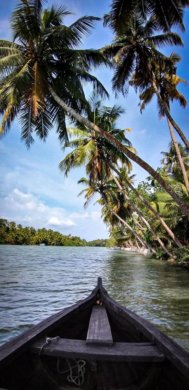 This may contain: there is a boat going down the river with palm trees in the backgroud