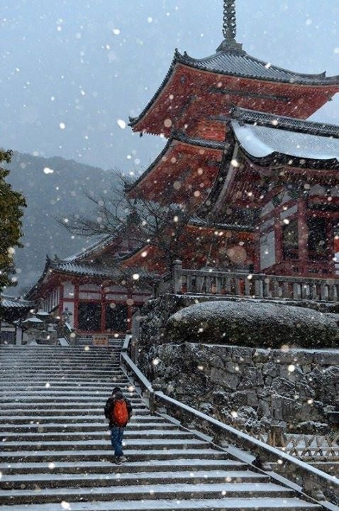 This may contain: a person walking up some steps in the snow