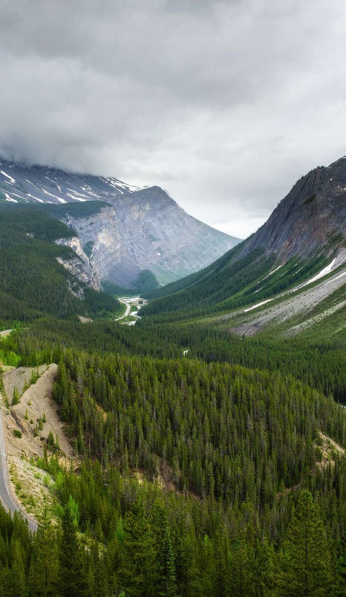 This may contain: the road is surrounded by tall trees and mountain peaks in the distance, as seen from an overlook point