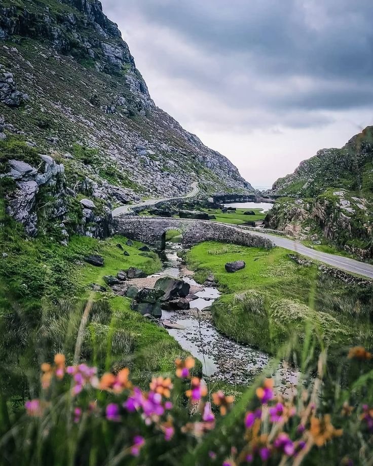 This may contain: a river running through a lush green hillside next to a forest filled with purple flowers