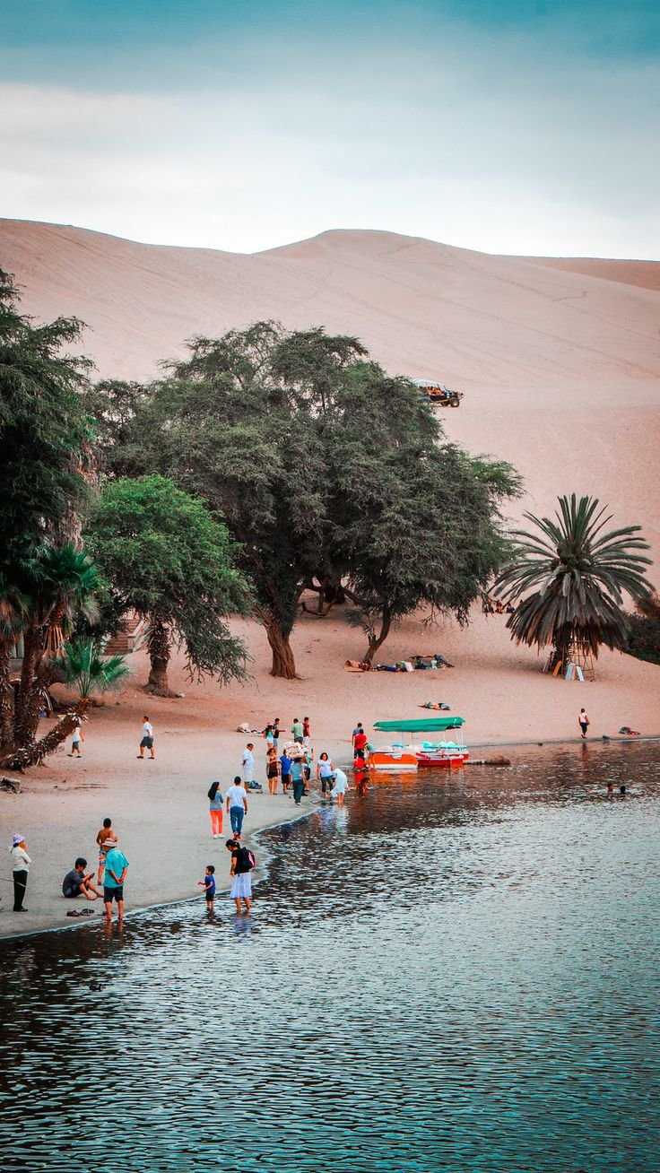 This may contain: many people are standing on the shore of a body of water with trees in the background