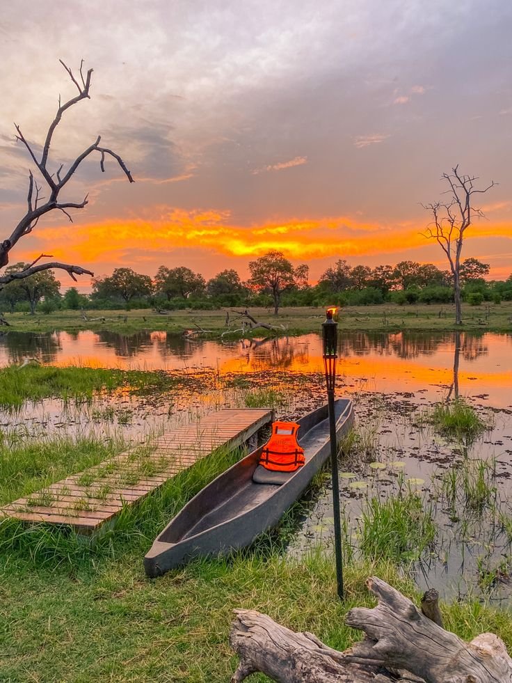 This may contain: a canoe sitting on top of a lush green field next to a lake at sunset