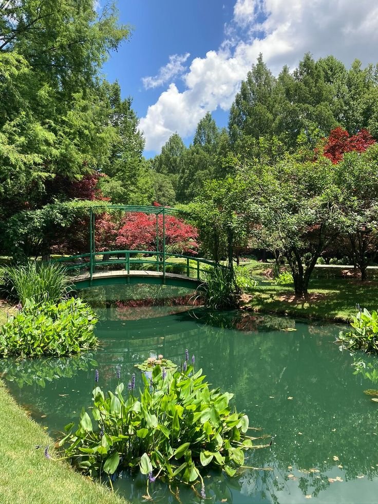 This may contain: a bridge over a small pond surrounded by trees