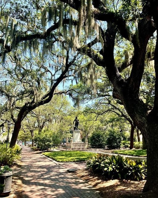 This may contain: the walkway is lined with trees and plants in front of a statue surrounded by spanish moss