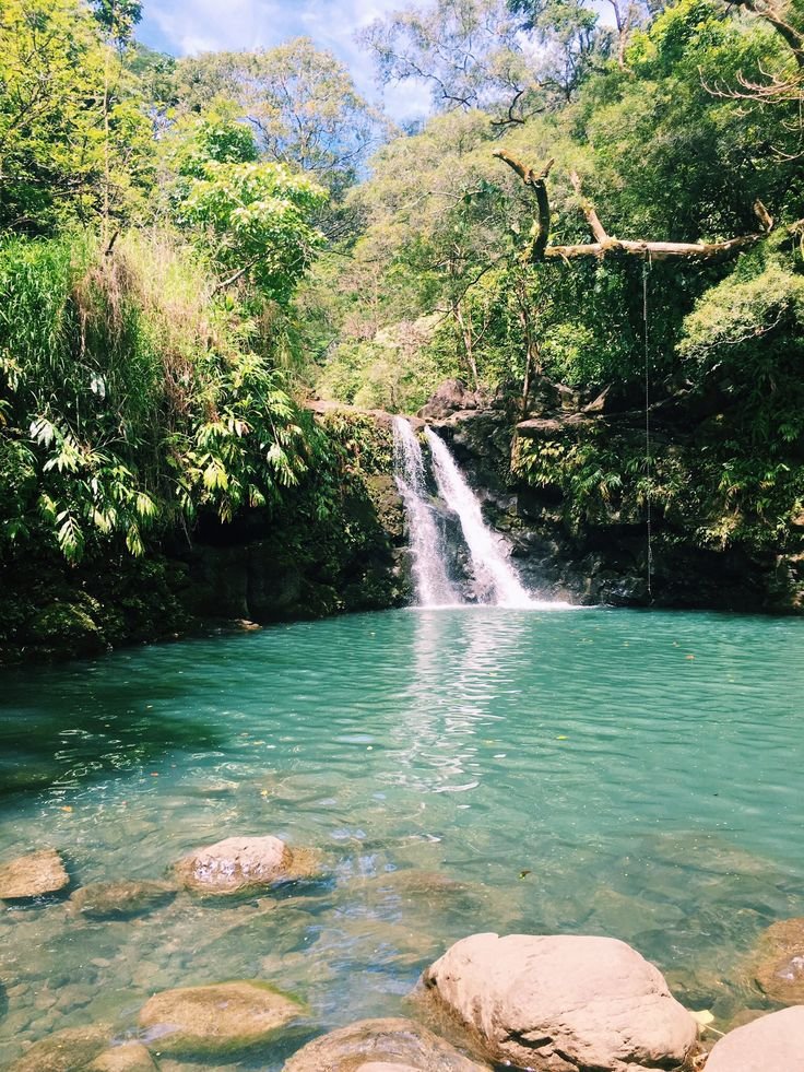 This may contain: a small waterfall in the middle of a river surrounded by rocks and greenery on both sides