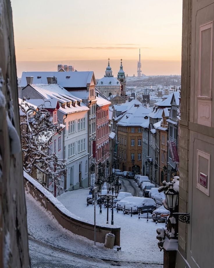 This may contain: a snowy city street with buildings on both sides and trees in the foreground at sunset