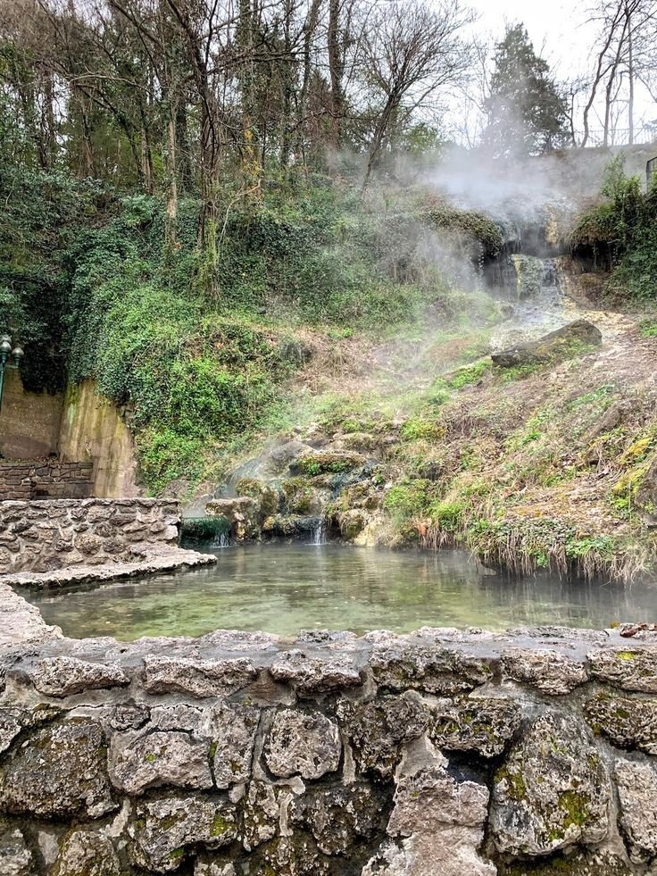 This may contain: a hot spring in the middle of a forest with steam rising from it's water