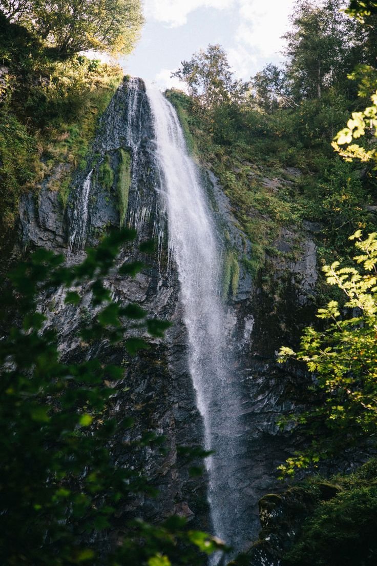 This may contain: a tall waterfall surrounded by lush green trees