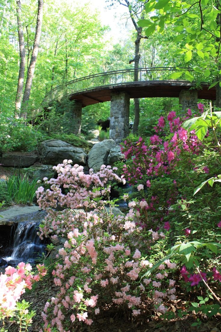 This may contain: a bridge in the middle of a forest with pink flowers and trees around it,