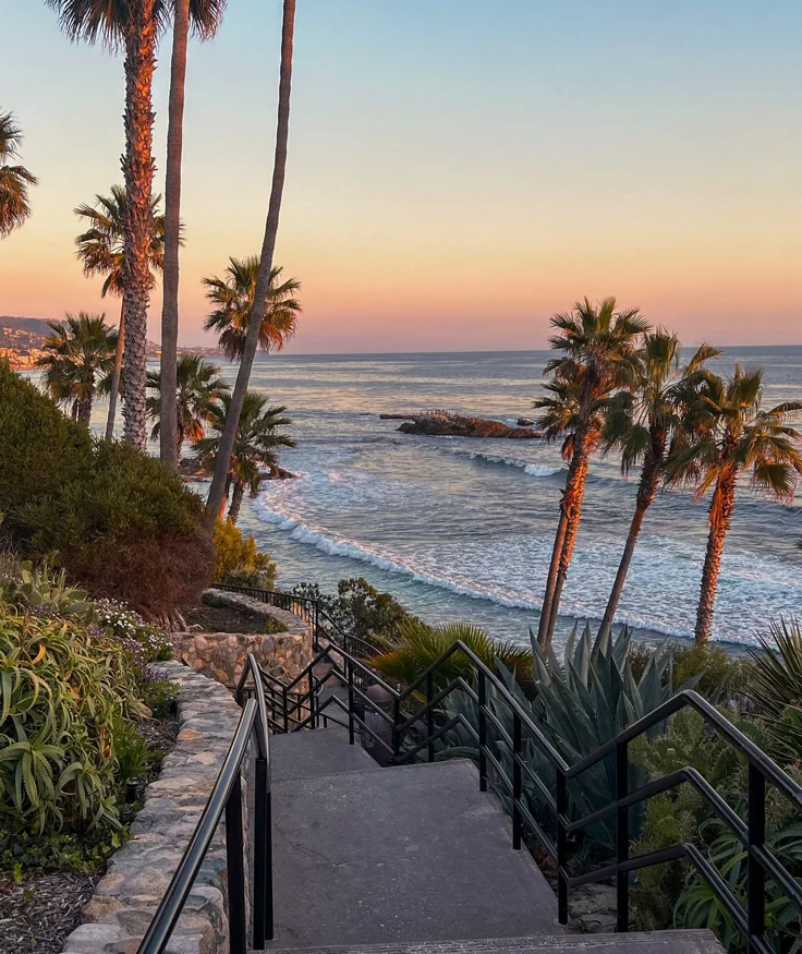 This may contain: stairs leading up to the beach with palm trees