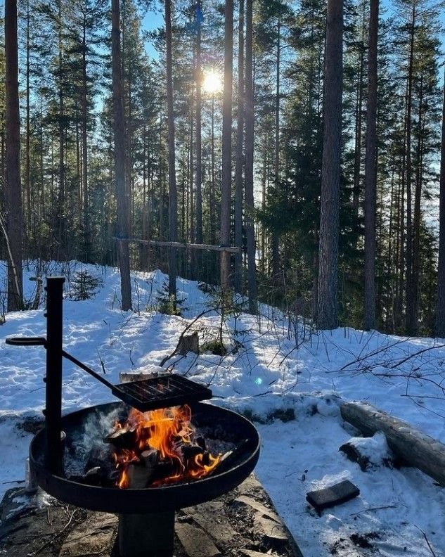 This may contain: an open fire pit in the middle of a snow covered forest with sun shining through trees